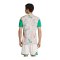 adidas FAF Algerien Prematch T-Shirt WM 2026 Beige - beige