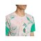 adidas FAF Algerien Prematch T-Shirt WM 2026 Beige - beige