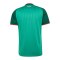 adidas FAF Algerien Trikot Away WM 2026 Grün - gruen