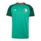 adidas FAF Algerien Trikot Away WM 2026 Grün - gruen