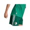 adidas FAF Algerien Trikot Away WM 2026 Grün - gruen