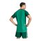 adidas FAF Algerien Trikot Away WM 2026 Grün - gruen