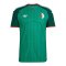 adidas FAF Algerien Trikot Away WM 2026 Grün - gruen