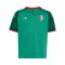 adidas FAF Algerien Trikot Away WM 2026 Kids Grün - gruen