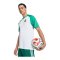 adidas FAF Algerien Trikot Home WM 2026 Weiß - weiss