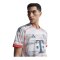 adidas FC Bayern München Authentic Trikot Away 2025/2026 Weiß - weiss