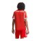 adidas FC Bayern München Authentic Trikot Home 2025/2026 Rot - rot