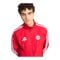 adidas FC Bayern München Anthem Jacke Rot - rot