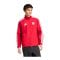 adidas FC Bayern München Anthem Jacke Rot - rot