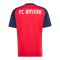 adidas FC Bayern München Pre Match Trikot 2026/2027 Rot - rot