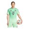 adidas FC Bayern München Torwarttrikot 2025/2026 Grün - gruen