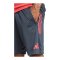 adidas FC Bayern München Training Short Grau - grau