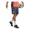 adidas FC Bayern München Training Short Grau - grau