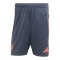 adidas FC Bayern München Training Short Grau - grau