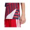 adidas FC Bayern München Pre Match Trikot 2026/2027 Kids Blau - blau