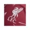adidas FC Liverpool Authentic Trikot Home 2026/2027 Rot - rot