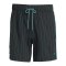 adidas FC Liverpool Icon Short Schwarz - schwarz