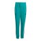 adidas FC Liverpool Icon Track Hose Kids Grün - gruen