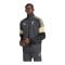 adidas FC Liverpool Lfstlr Track Sweatshirt Grau - grau
