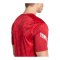 adidas FC Liverpool Pre Match Trikot 2026/2027 Rot - rot