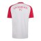 adidas FC Liverpool Pre Match Trikot 2026/2027 Grau - grau