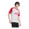adidas FC Liverpool Pre Match Trikot 2026/2027 Grau - grau