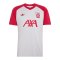 adidas FC Liverpool Pre Match Trikot 2026/2027 Grau - grau