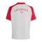 adidas FC Liverpool Pre Match Trikot 2026/2027 Kids Grau - grau