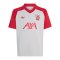 adidas FC Liverpool Pre Match Trikot 2026/2027 Kids Grau - grau