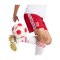 adidas FC Liverpool Short Away 2026/2027 Rot - rot