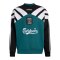 adidas FC Liverpool Sweatshirt 95 Grün - gruen