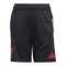 adidas FC Liverpool Tiro Short 2026/2027 Kids Schwarz - schwarz