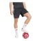 adidas FC Liverpool Tiro Short 2026/2027 Schwarz - schwarz