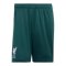 adidas FC Liverpool Torwartshort Home 2026/2027 Grün - gruen