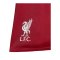 adidas FC Liverpool Trikot Set Home 2026/2027 Kids Rot - rot
