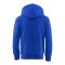 adidas FC Schalke 04 Essentials Kapuzenjacke Kids Blau - blau