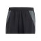 adidas FC Schalke 04 Short Schwarz Grau - schwarz