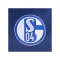 adidas FC Schalke 04 Team T-Shirt Blau - blau