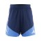 adidas FC Schalke 04 Team Training Short Blau - blau