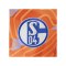 adidas FC Schalke 04 Torwartshort 2026/2027 Kids Orange - orange