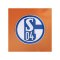 adidas FC Schalke 04 Torwarttrikot 2026/2027 Kids Orange - orange