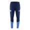 adidas FC Schalke 04 Trainingshose Blau - blau