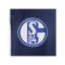 adidas FC Schalke 04 Trainingshose Blau - blau