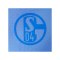 adidas FC Schalke 04 Z.N.E Short Blau - blau