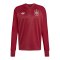 adidas FEF Spanien Prematch Sweatshirt WM 2026 Rot - rot