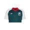 adidas FMF Mexiko Prematch Trikot Away WM 2026 Grün - gruen