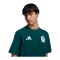 adidas FMF Mexiko Tiro Travel T-Shirt Grün - gruen