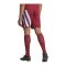 adidas Fortore 23 Short Rot Blau - rot