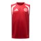 adidas Fortuna Düsseldorf Training Tanktop Rot - rot