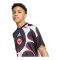adidas Eintracht Frankfurt Pre Match Trikot 2026/2027 Kids Schwarz - schwarz